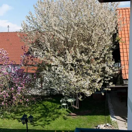 Urlaubsapartment Am Silbersee Daire