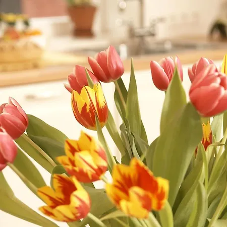 Apartment Urlaubsapartment Am Silbersee