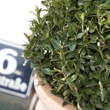 Daire Urlaubsapartment Am Silbersee