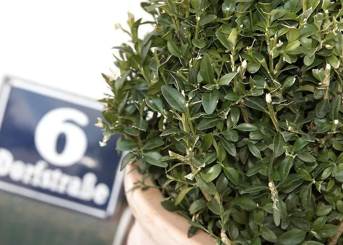 Apartamento Urlaubsapartment Am Silbersee